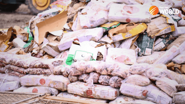 110 tonnes of smuggled beef and cattle carcasses buried in Phetchaburi 110 tonnes of smuggled beef and cattle carcasses buried in Phetchaburi