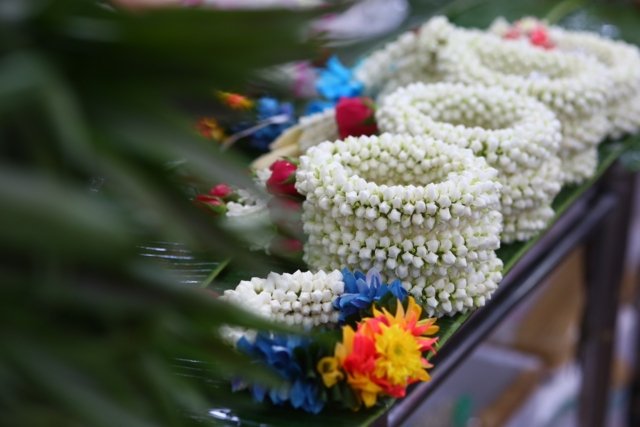 Jasmine prices spike ahead of national Mother’s Day Jasmine prices spike ahead of national Mother’s Day