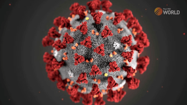 8 new coronavirus variant infections found in Thailand, no cause for alarm 8 new coronavirus variant infections found in Thailand, no cause for alarm
