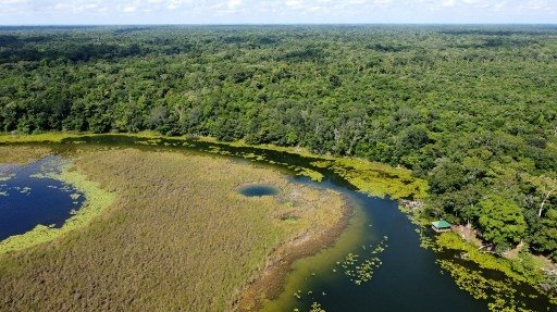 World 'failing' on pledge to stop deforestation by 2030 World 'failing' on pledge to stop deforestation by 2030