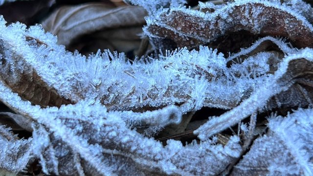 Cold season may arrive in mid-November, last just a month Cold season may arrive in mid-November, last just a month