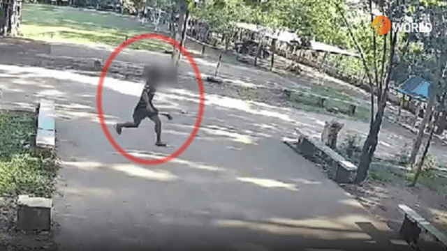Teacher injured in knife attack at school in Chaiyaphum Teacher injured in knife attack at school in Chaiyaphum