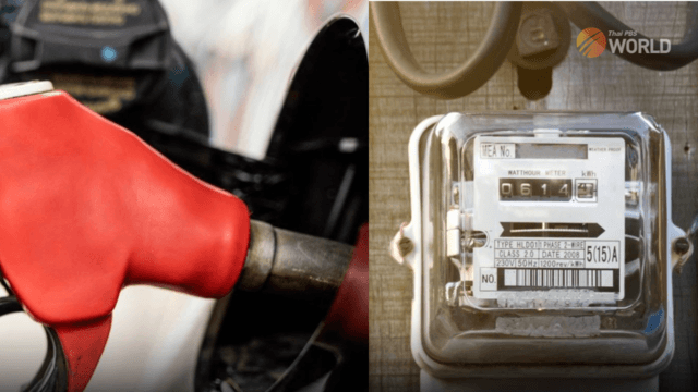 Electricity and fuel prices are expected to increase next year Electricity and fuel prices are expected to increase next year