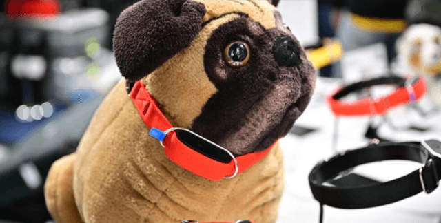 CES pet tech: Throw a dog a bone -- or an AI collar CES pet tech: Throw a dog a bone -- or an AI collar