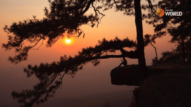 Tourism vs conservation: The controversial cable car plan dividing Thailand Tourism vs conservation: The controversial cable car plan dividing Thailand