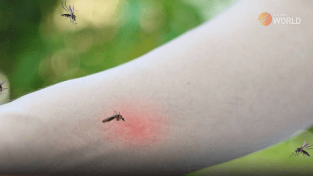 200,000 doses of flu vaccine to be provided to tourism service providers 200,000 doses of flu vaccine to be provided to tourism service providers