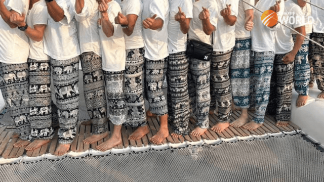 Was elephant pant wearing record bid cause of fashion panel resignation? Was elephant pant wearing record bid cause of fashion panel resignation?