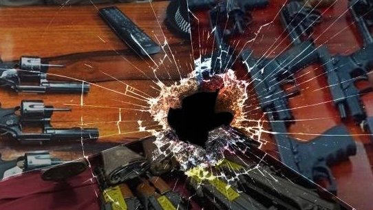 Draft decree signed exempting those who surrender unregistered firearms from legal action Draft decree signed exempting those who surrender unregistered firearms from legal action