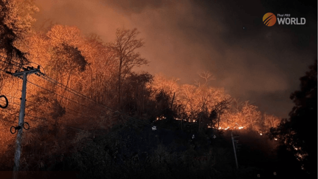 Forest fires rage in several northern provinces as air quality deteriorates Forest fires rage in several northern provinces as air quality deteriorates