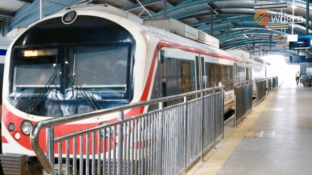 Passengers can now take their pets on Airport Link trains Passengers can now take their pets on Airport Link trains
