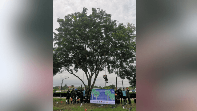 New Program Offers Former Inmates a Green Path to Reintegration New Program Offers Former Inmates a Green Path to Reintegration