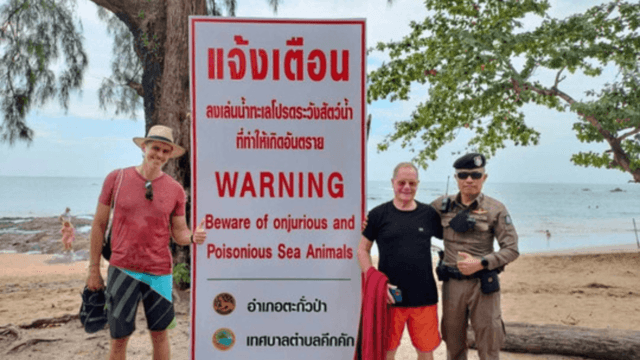 Bull shark thought to have bitten German woman Bull shark thought to have bitten German woman