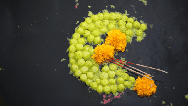 BMA asks public not to use “krathong” made of bread BMA asks public not to use “krathong” made of bread