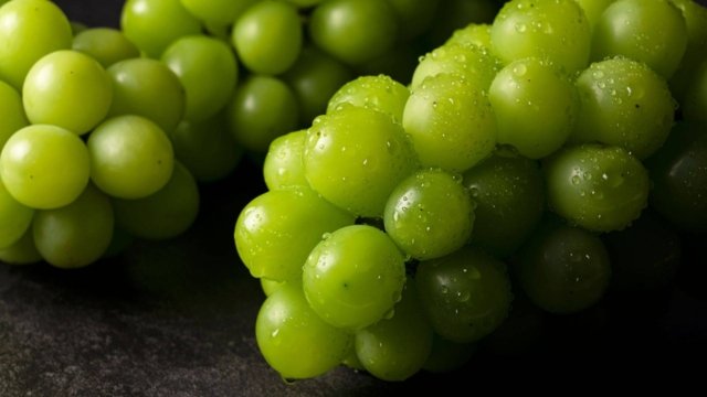 Imported Shine Muscat grapes safe to eat if washed properly: Thai FDA Imported Shine Muscat grapes safe to eat if washed properly: Thai FDA