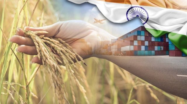 Thai rice exports to face stiffer competition from India Thai rice exports to face stiffer competition from India
