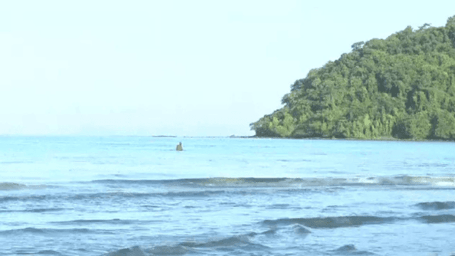 Media reports on MoU 44 blamed for hotel cancellations on Kut Island Media reports on MoU 44 blamed for hotel cancellations on Kut Island