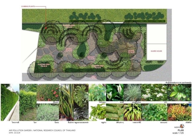Using trees to remove urban air pollution Using trees to remove urban air pollution
