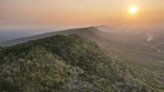 National parks to consider private management of some services National parks to consider private management of some services
