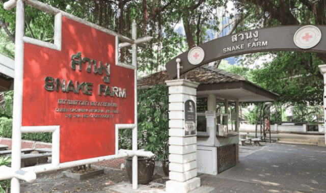 Snake farm says ‘no more room’ for pythons and boas Snake farm says ‘no more room’ for pythons and boas