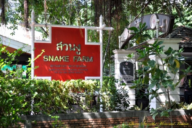 Snake farm hopes to foster coexistence Snake farm hopes to foster coexistence