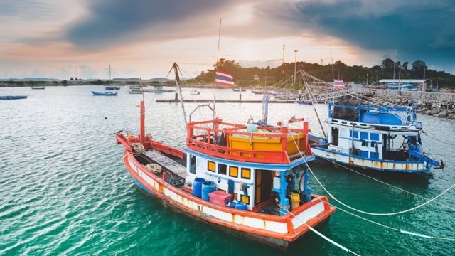 US opens door for Thai fishery products US opens door for Thai fishery products