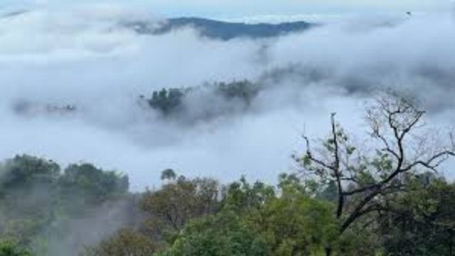 Weatherman predicts official arrival of cold season in Thailand this Thursday Weatherman predicts official arrival of cold season in Thailand this Thursday