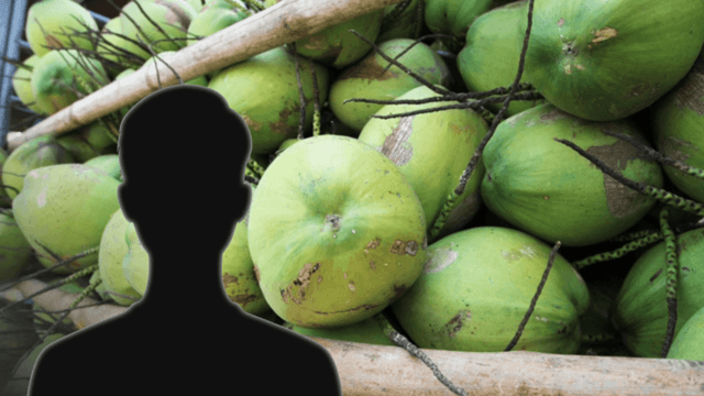 Chinese-run firms and Thai nominees probed over unfair trade practices in coconut trading Chinese-run firms and Thai nominees probed over unfair trade practices in coconut trading