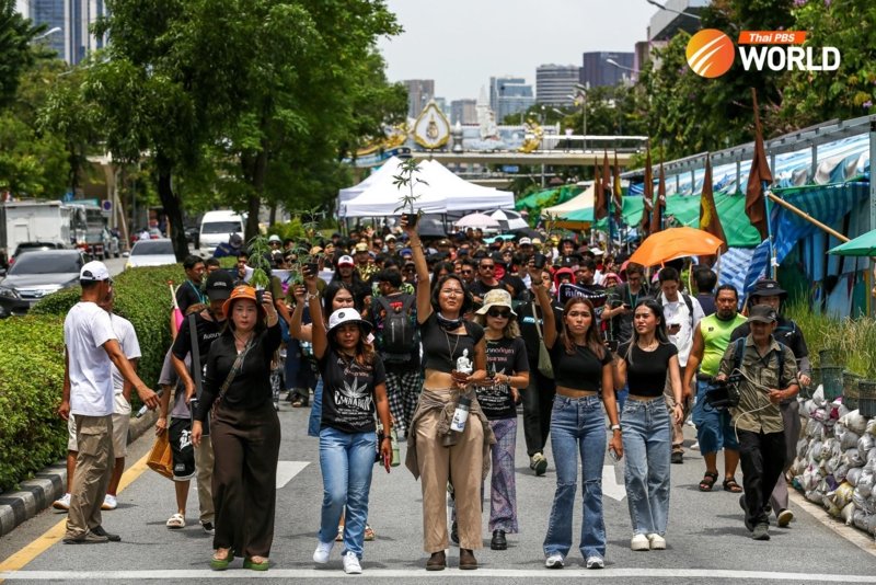 Cannabis supporters against the decriminalisation Cannabis supporters against the decriminalisation
