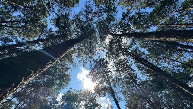 Measurable mechanism required to turn ‘Nature Positive’ into action Measurable mechanism required to turn ‘Nature Positive’ into action
