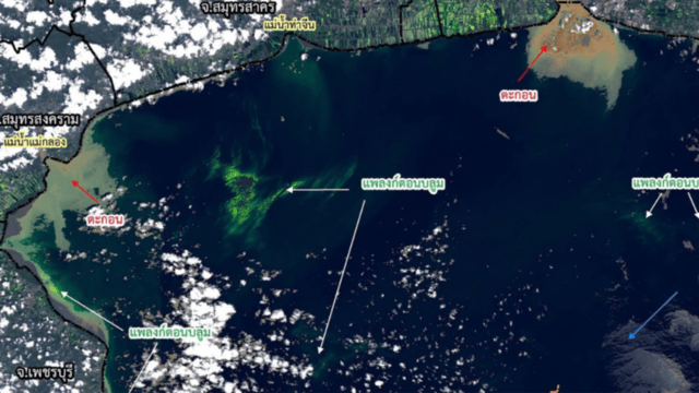 GISTDA detects plankton blooms along four Gulf coast provinces GISTDA detects plankton blooms along four Gulf coast provinces