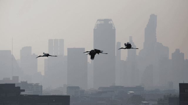 Laos, Myanmar, Thailand launch CLEAR Sky strategy to fight haze Laos, Myanmar, Thailand launch CLEAR Sky strategy to fight haze
