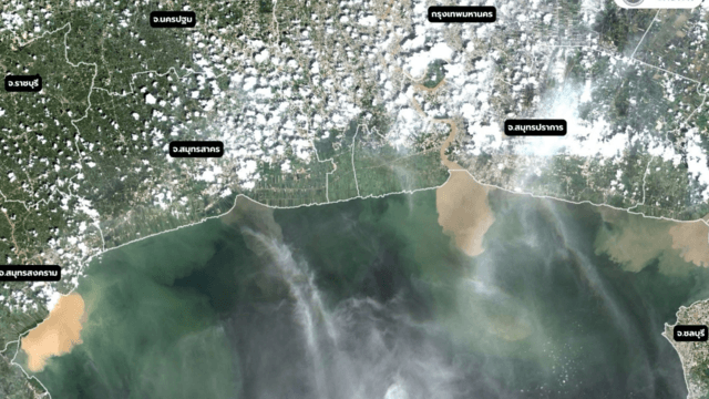 GISTDA warns of oxygen crisis from plankton bloom in Gulf GISTDA warns of oxygen crisis from plankton bloom in Gulf
