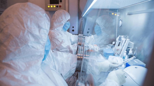 No plague cases detected in Siberia, Russia says No plague cases detected in Siberia, Russia says