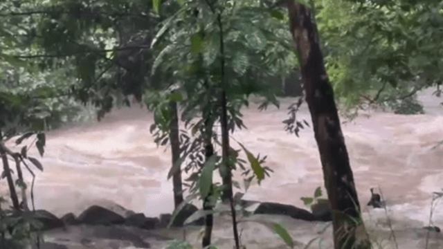 Elderly woman swept from bridge by strong currents and drowns in Trang Elderly woman swept from bridge by strong currents and drowns in Trang