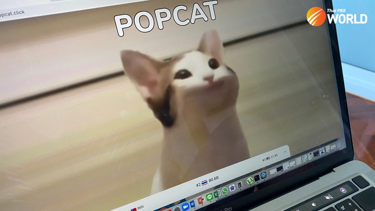 Popcat leaderboard