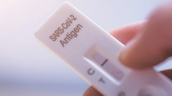 Close up of fingers holding express antigen covid test, negative result
